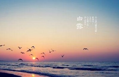 白露诗词(描写24节气白露诗词)