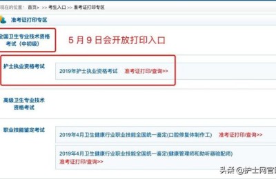 护师准考证打印(护师准考证打印入口)