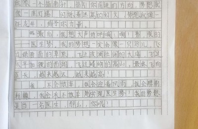 梦想 作文(梦想作文600字)