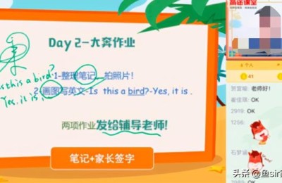 网校哪个好(经济师培训网校哪个好)