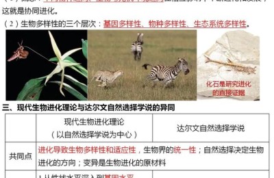 高中生物必修二知识点总结(人教版高中生物必修二知识点总结)
