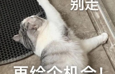 环球中级经济师考试(环球中级经济师)