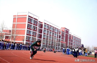 运动会总结报告(学校运动会总结报告)