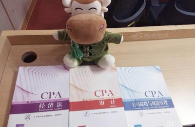 注册会计师是不是高级职称(注册会计师是高级职称吗)