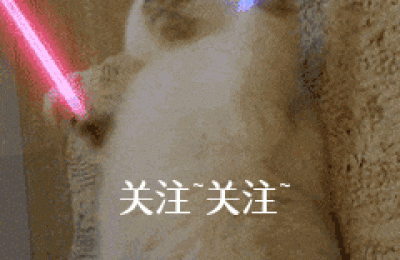 金毛犬的喂养(金毛犬的喂养方法)