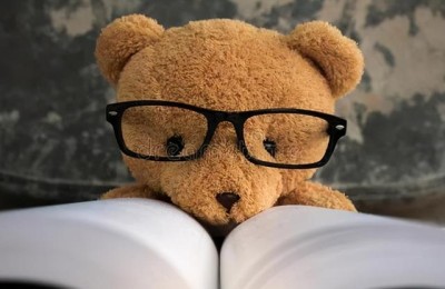 我的心爱之物小熊作文(我的心爱之物小熊作文450字)