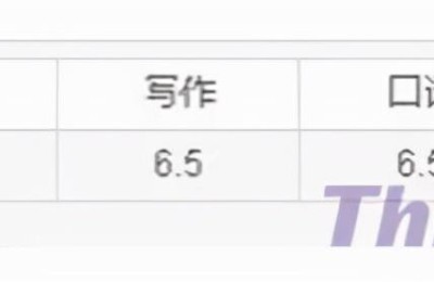 雅思小班(雅思小班课)