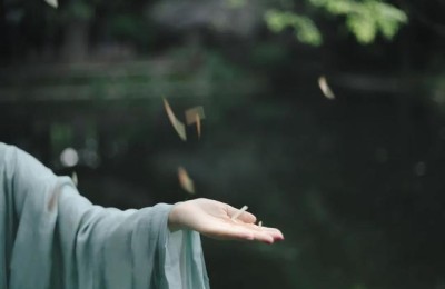 关于爱情伤感的诗句(关于爱情伤感的诗句唯美)