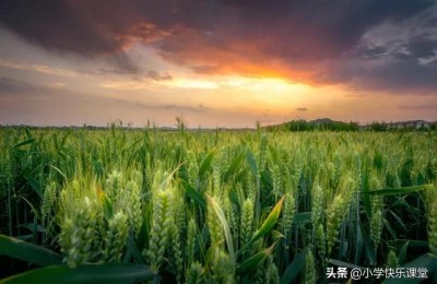 作文400字(作文400字写景)