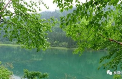 语文教研组工作计划(语文教研组工作计划2022)