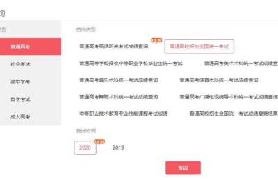 广州高考成绩查询(广州高考成绩查询时间2021)