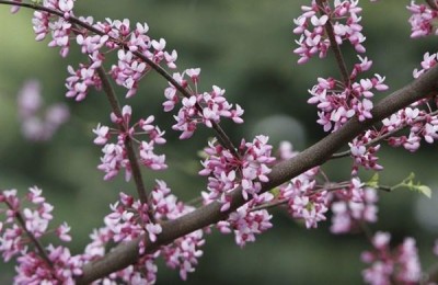 励志短句霸气(励志短句霸气十字以内)