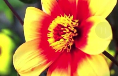 那天是愚人节(分手的那天是愚人节)