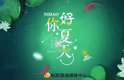 中考查分热线(中考查分热线电话)