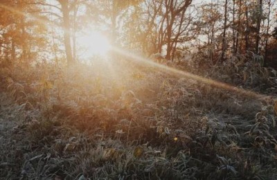 高考后(高考后怎么申请国外的大学)
