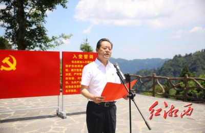 新党员讲话(新党员讲话稿)