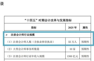 注册会计师业务由谁接受委托(注册会计师可以接受委托)