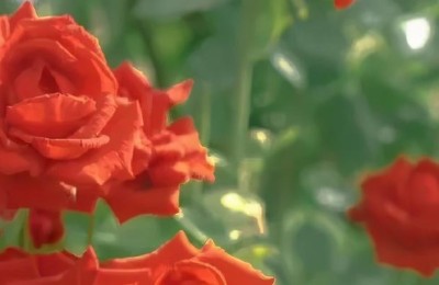 假期结束文案(假期结束文案朋友圈)