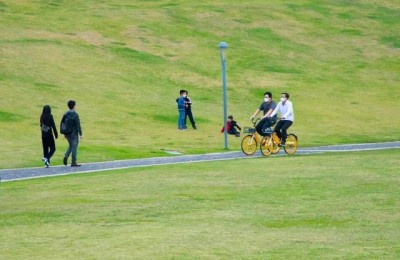 春游的作文(春游的作文300字三年级)