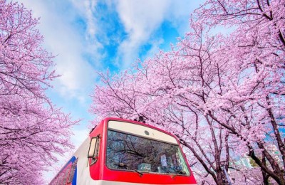 写春天的作文(写春天的作文200字)