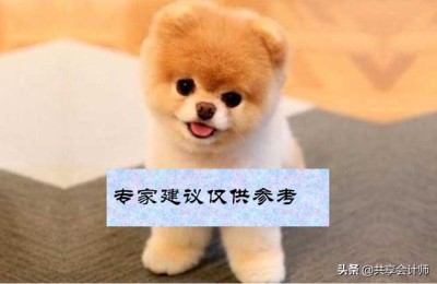 注册会计师的利息(注册会计师会计收入费用和利润)