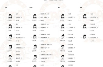 初级会计师证与注册会计师(会计师初级和注册会计师)