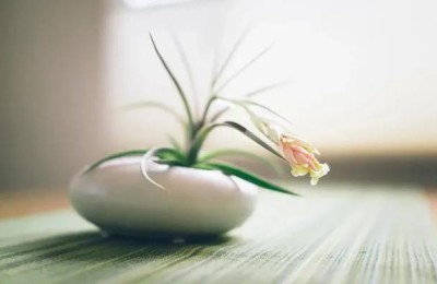 心存感恩的经典语句(表达心存感恩的经典语句)