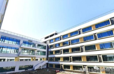 我的新校园(我的新校园作文500字)