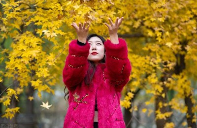 工作后的感想(工作后的感想收获)