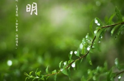 关于清明节的句子(关于清明节的句子佳句)