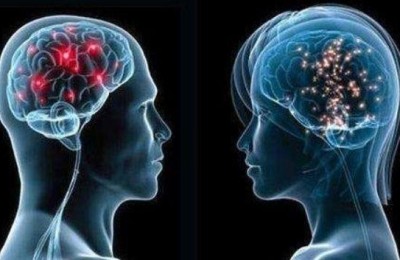 中国记忆力训练网(中国记忆力训练网在线阅读)