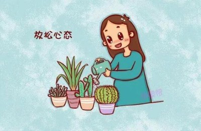 合同的格式(合同的格式和字体要求)