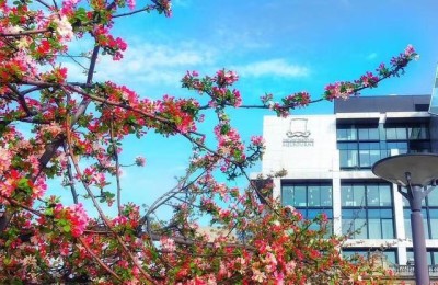 澳洲留学(澳洲留学一年多少钱?)