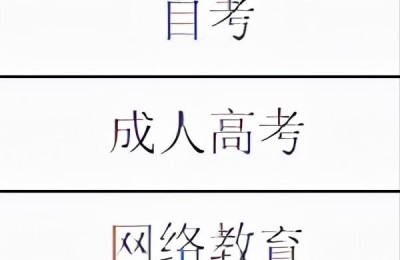 成人高考辅导机构(成人高考辅导机构排名)