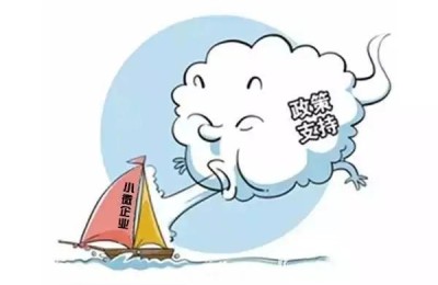 注册会计师执业证书可以贷款吗(注册会计师贷款有优惠吗)