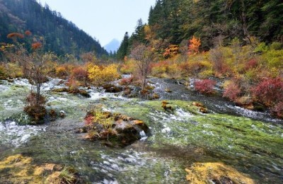 四川省二级建造师继续教育(四川省二级建造师继续教育平台登录)