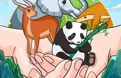 推进生态文明建设(推进生态文明建设的意义)