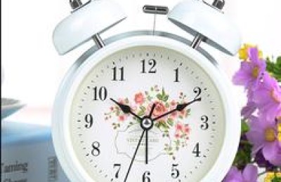 我的心爱之物作文(我的心爱之物作文五年级500字)