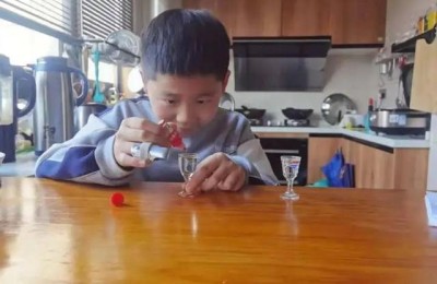 广州南湖国际学校(广州南湖国际学校官网)