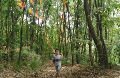 邹越让世界充满爱(邹越让世界充满爱视频)