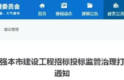 二级建造师可投标吗(二级建造师可以投标吗)