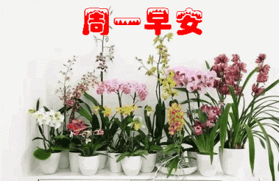 永远的朋友(永远的朋友英语)