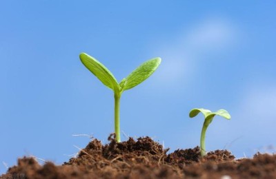 注册会计师五年待遇(注册会计师年工资)