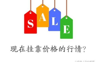 二级建造师信息卡查询(二级建造师信息查询系统)