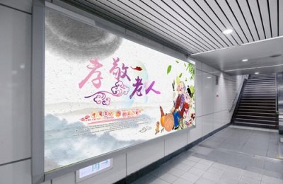 孝顺的作文(孝顺的作文500字)