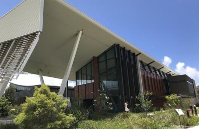 卧龙岗大学(卧龙岗大学中国承认吗)