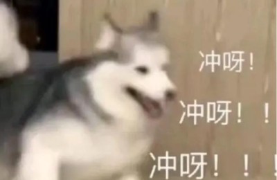 中国注册会计师 考英语(中国注册会计师考英语吗)