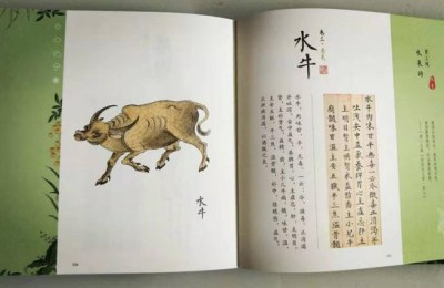 六一儿童节短句(六一儿童节短句说说)