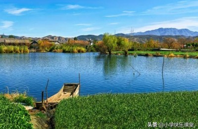 春雨的作文500字(春雨的作文500字作文 五年级)