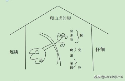 爬山虎的脚教案(爬山虎的脚教案ppt)